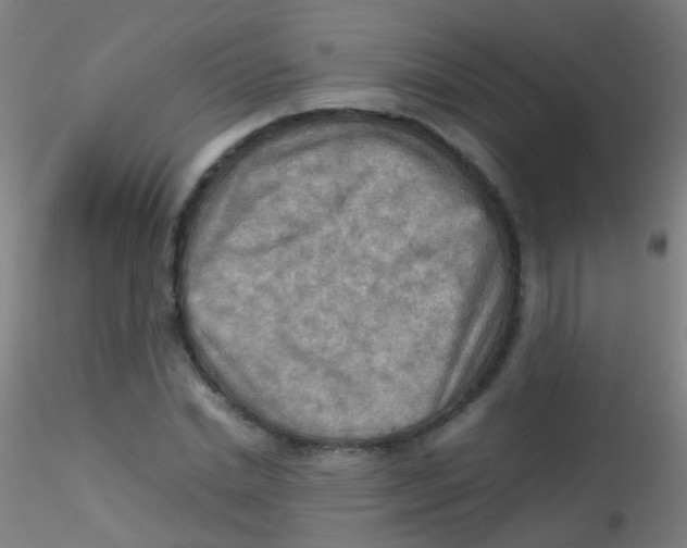 X0000115190830200911251417