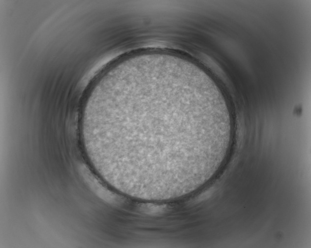 X0000115190831200911251417