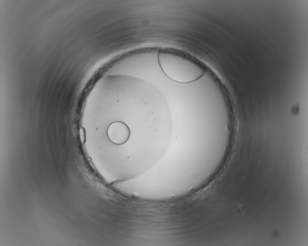 X0000115190832200911251417