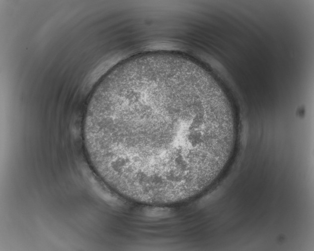 X0000115190833200911251417