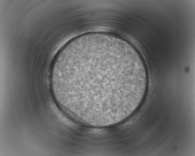 X0000115190835200911251417