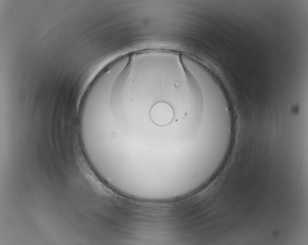 X0000115190836200911251417