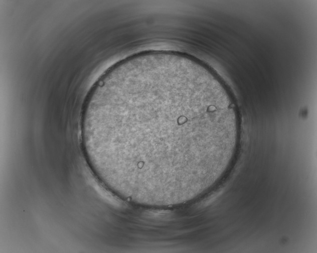 X0000115190837200911251417