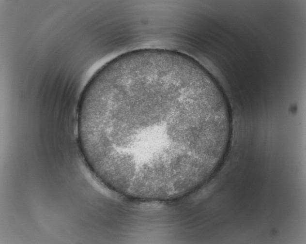 X0000115190838200911251418