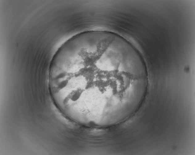 X0000115190839200911251418