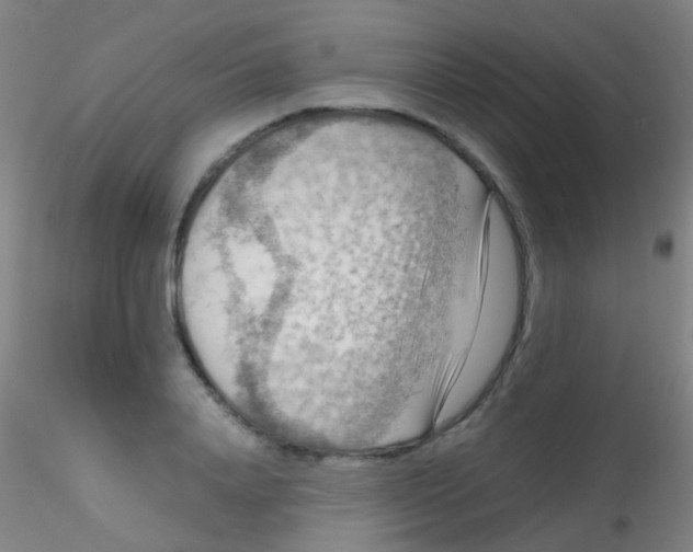 X0000115190840200911251418