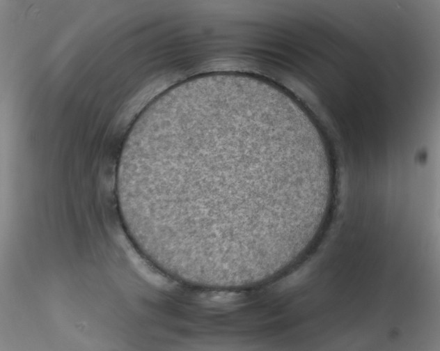 X0000115190841200911251418