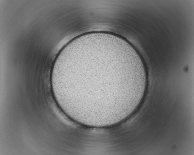 X0000115190842200911251418