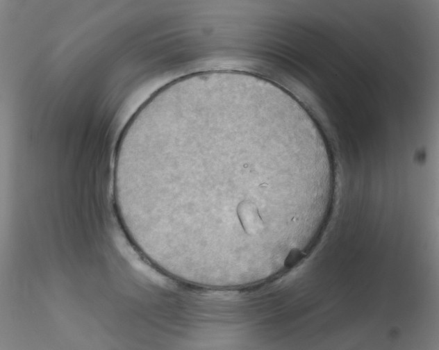 X0000115190844200911251418