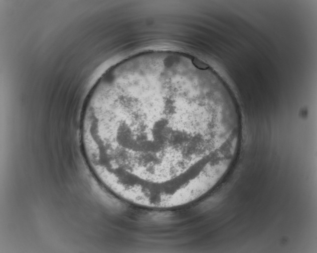 X0000115190845200911251418