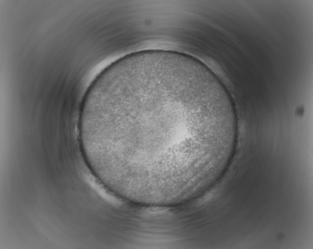 X0000115190846200911251418