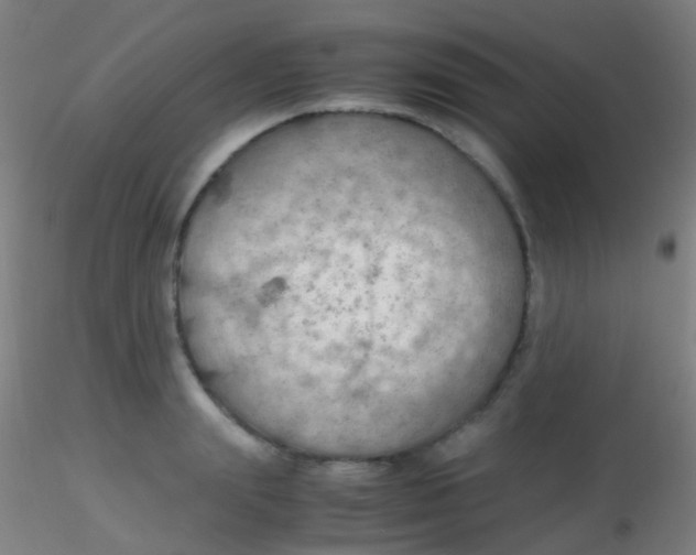 X0000115190847200911251418