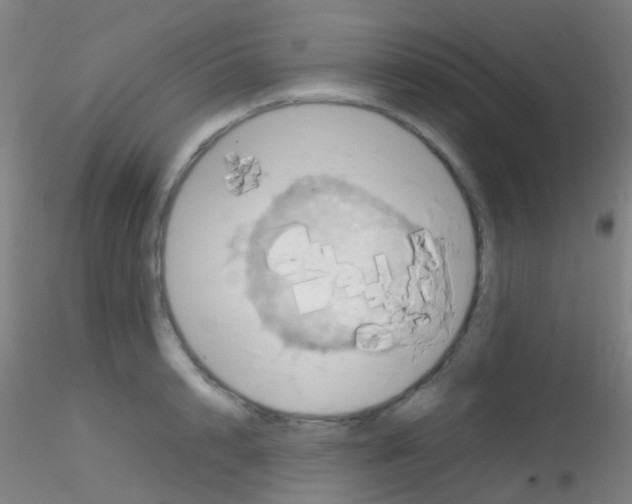 X0000115190848200911251418