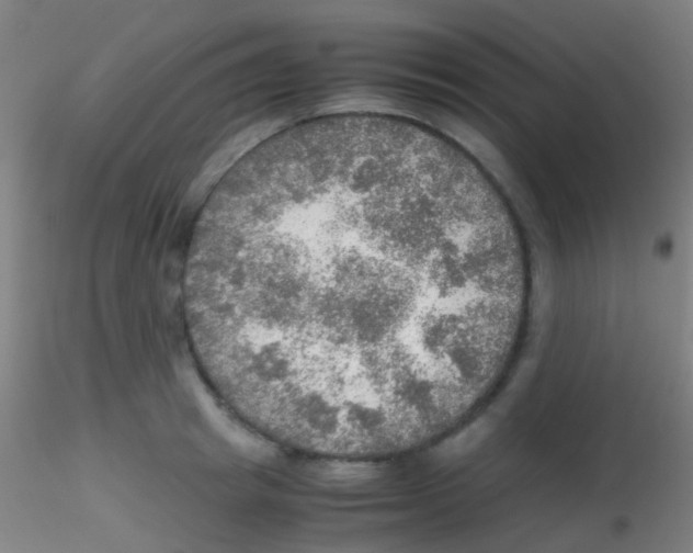 X0000115190849200911251418