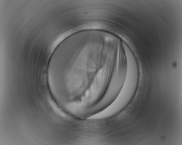 X0000115190850200911251418