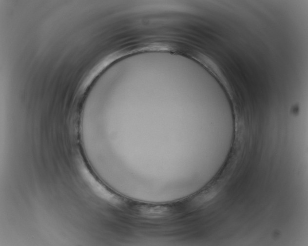 X0000115190851200911251418