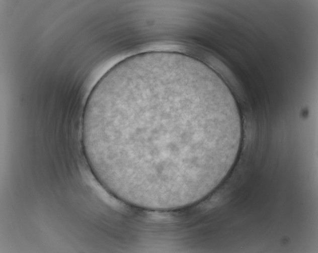 X0000115190852200911251418