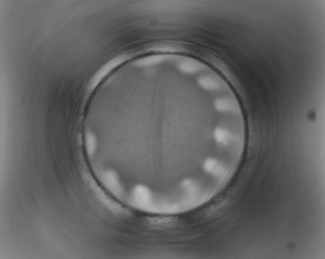 X0000115190853200911251418