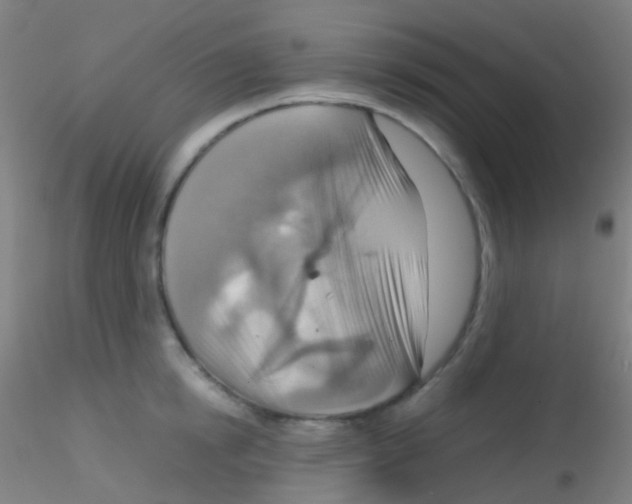 X0000115190854200911251418