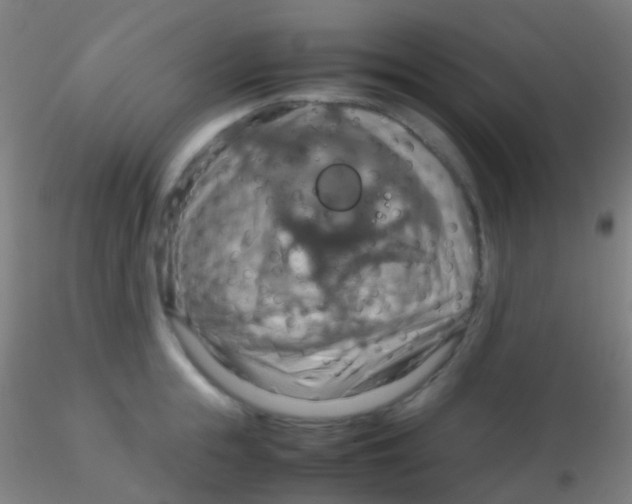 X0000115190855200911251418