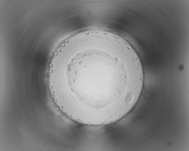 X0000115190856200911251418