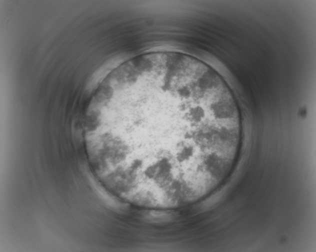 X0000115190857200911251418