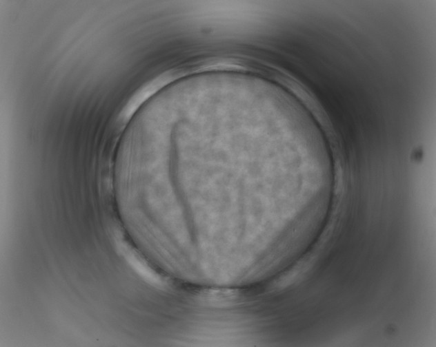 X0000115190858200911251418