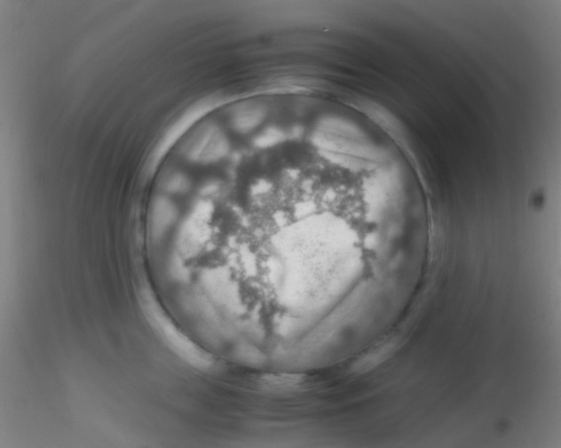 X0000115190859200911251418