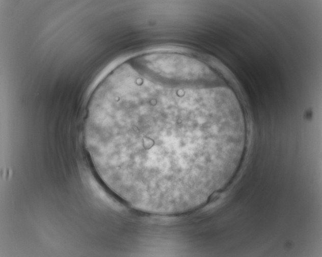 X0000115190860200911251418