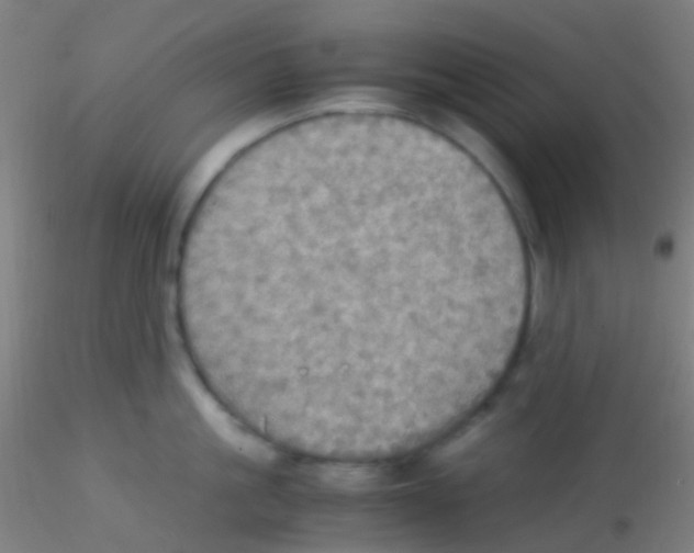 X0000115190861200911251418