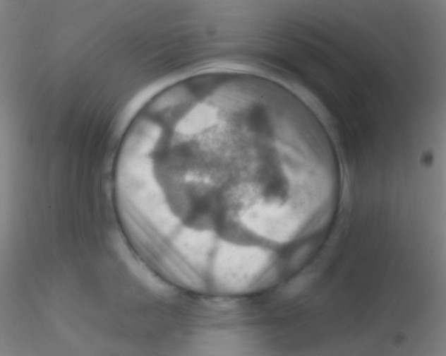 X0000115190862200911251418