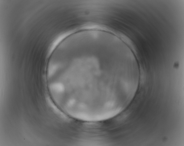 X0000115190863200911251418