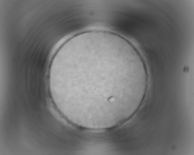 X0000115190864200911251418