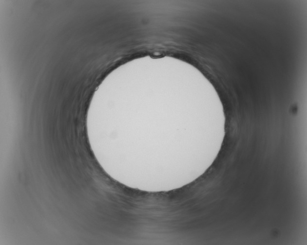 X0000115190865200911251417