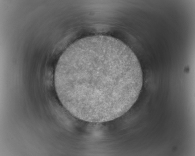 X0000115190866200911251417