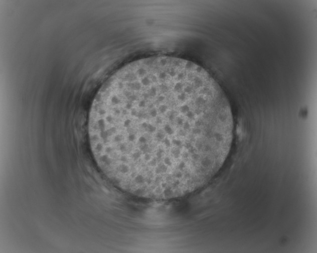 X0000115190867200911251417