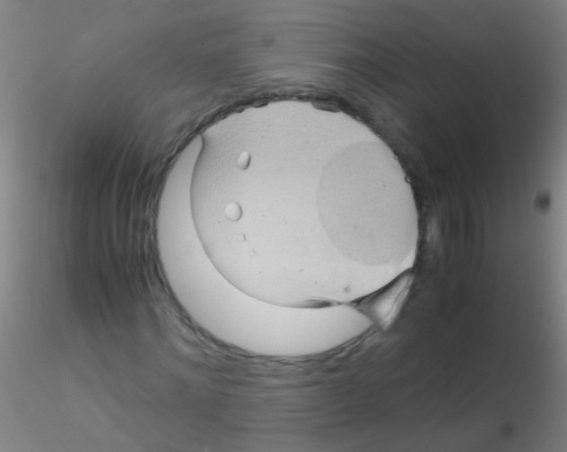 X0000115190868200911251417