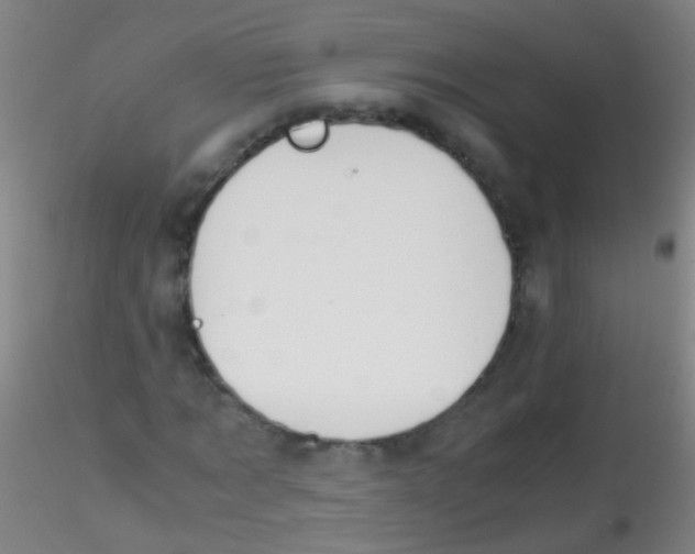 X0000115190869200911251417