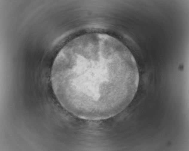 X0000115190870200911251417