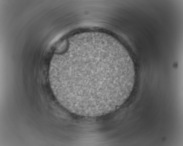 X0000115190871200911251417