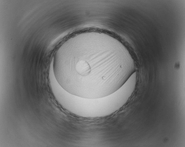 X0000115190872200911251417