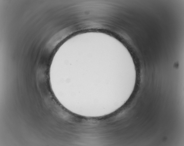 X0000115190873200911251417