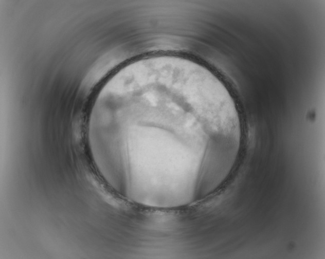 X0000115190874200911251417