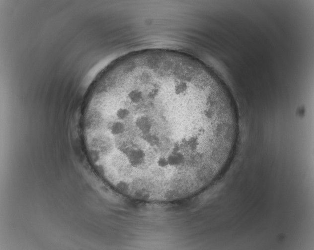 X0000115190875200911251417