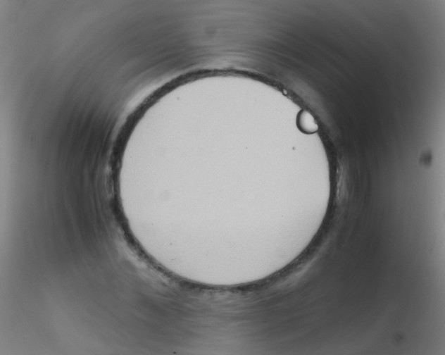 X0000115190876200911251417