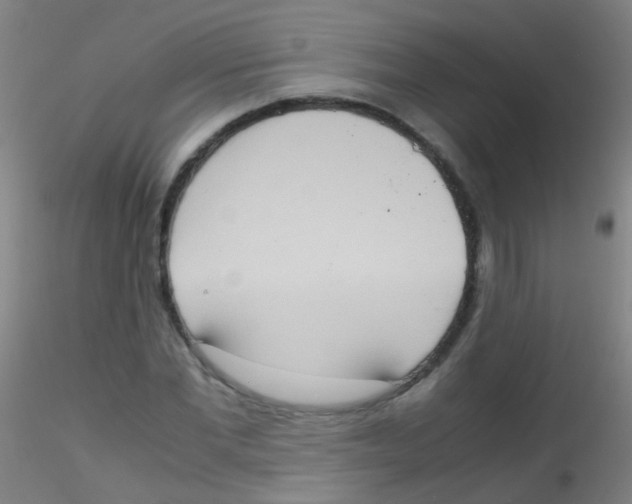 X0000115190877200911251417