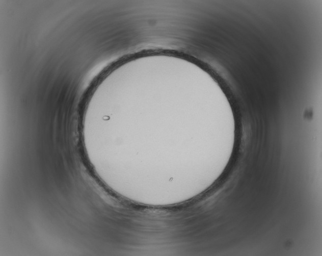 X0000115190878200911251417