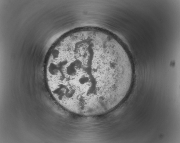 X0000115190879200911251417