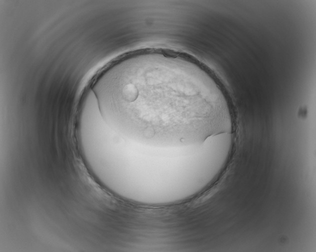 X0000115190880200911251417