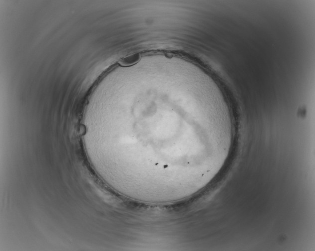 X0000115190881200911251417